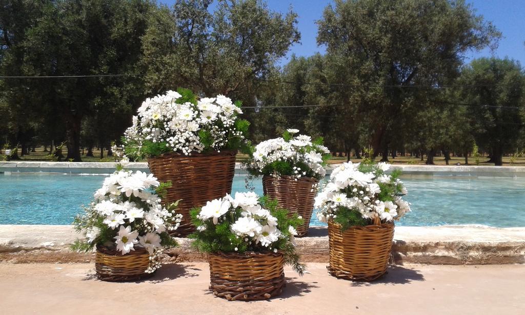 Tenuta Afra Squinzano Extérieur photo